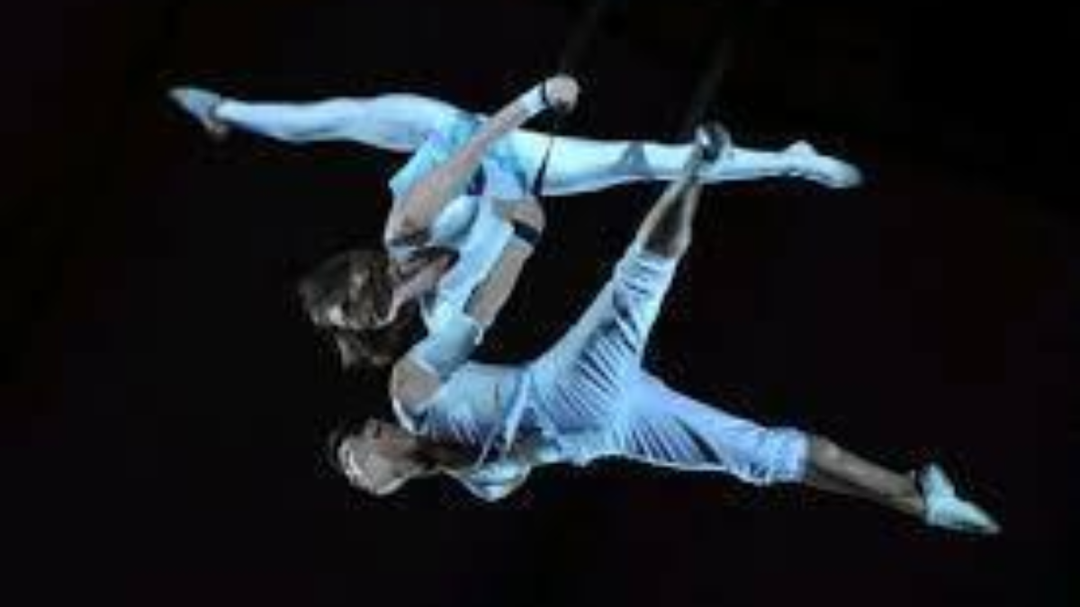 31249 circusfestival