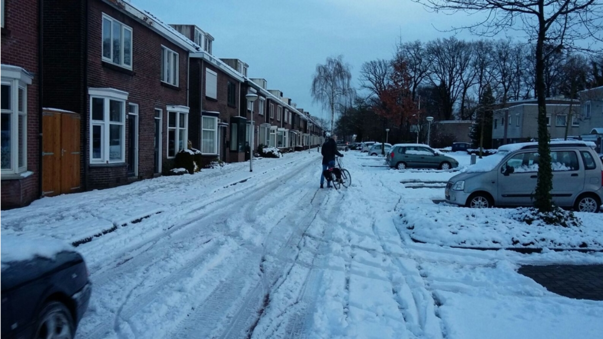 242060 image 23