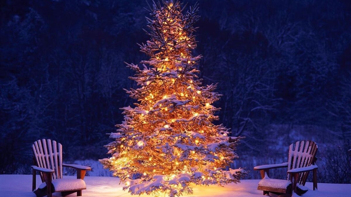 30521 mooie brandende kerstboom buiten in de sneeuw hd kerst wallpaper