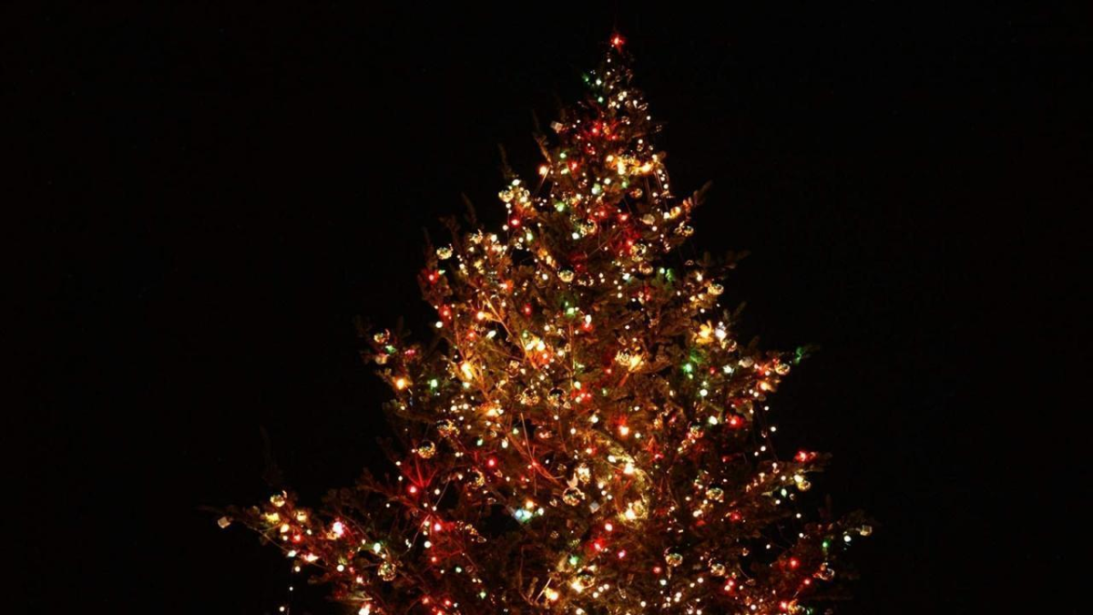 28537 Kerstboom