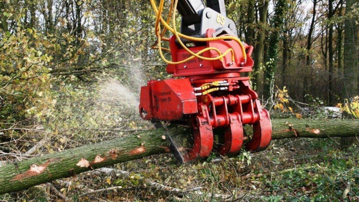 26446 Houtgrijper kettingzaag Onno Bruins 4