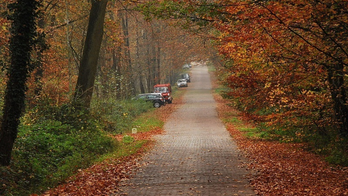 25671 Wandeling Lonnekerberg 06 11 11 001