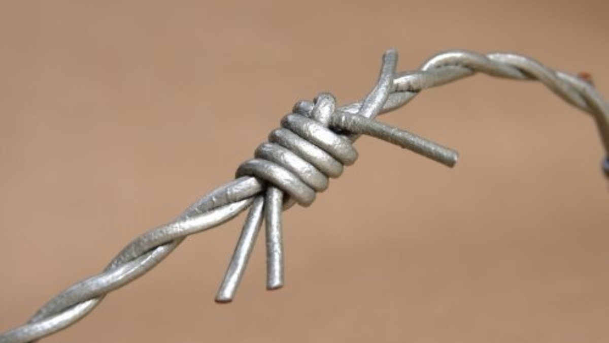 25218 prikkeldraadzilver