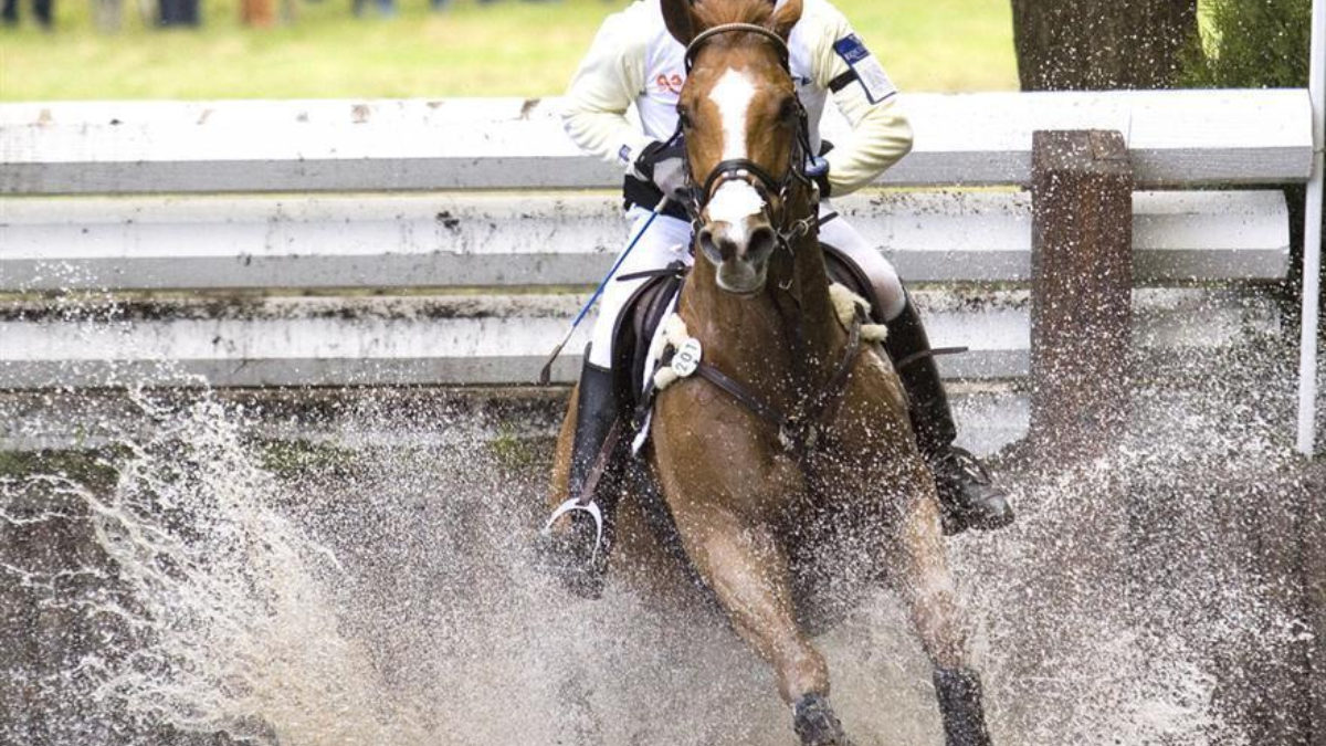 22541 military1azqfsa65w4