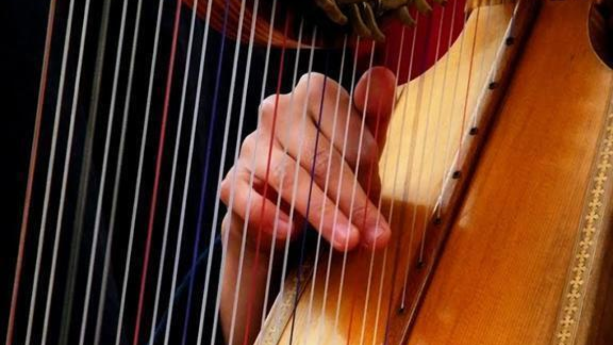 18589 harp