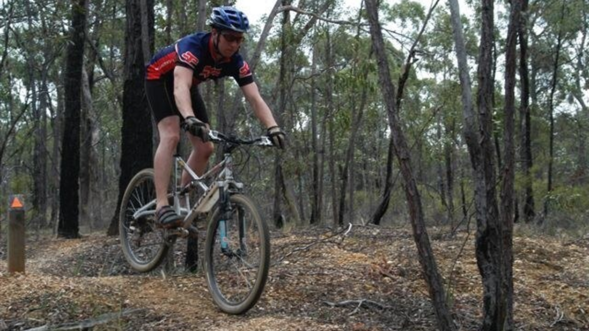 14683 mountainbike