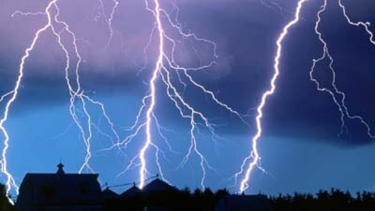 14589 0nweer2 3384 onweer1
