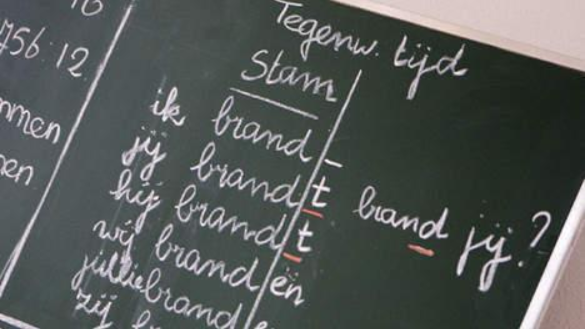14476 Laaggeletterdheid