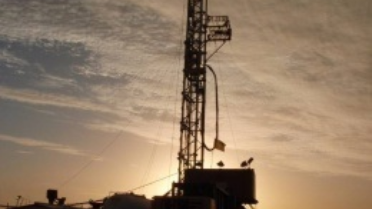 14047 schaliegas