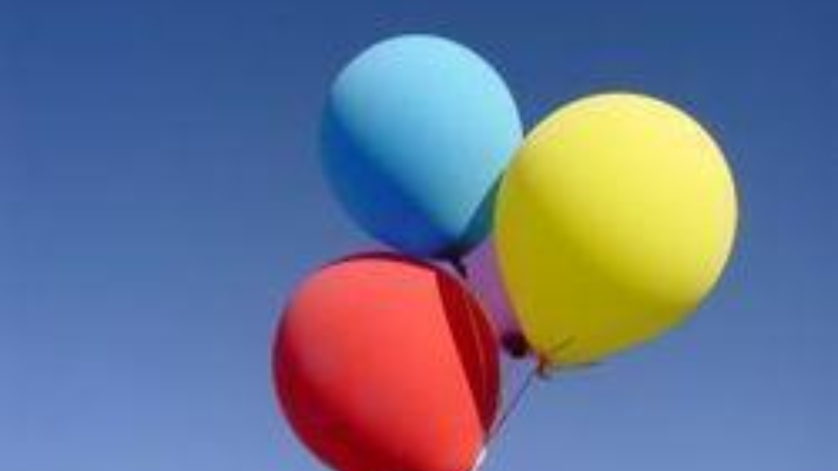 13171 normal Ballonnen