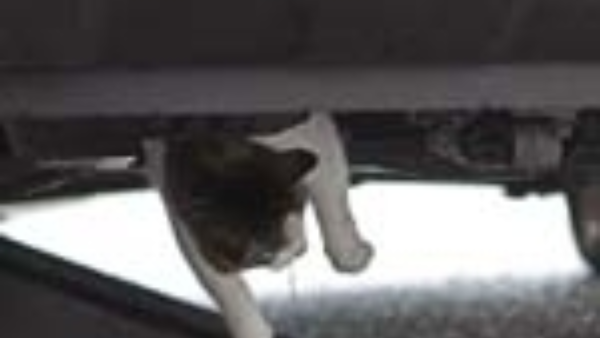 12060 20110528 kat motorblok 04 150