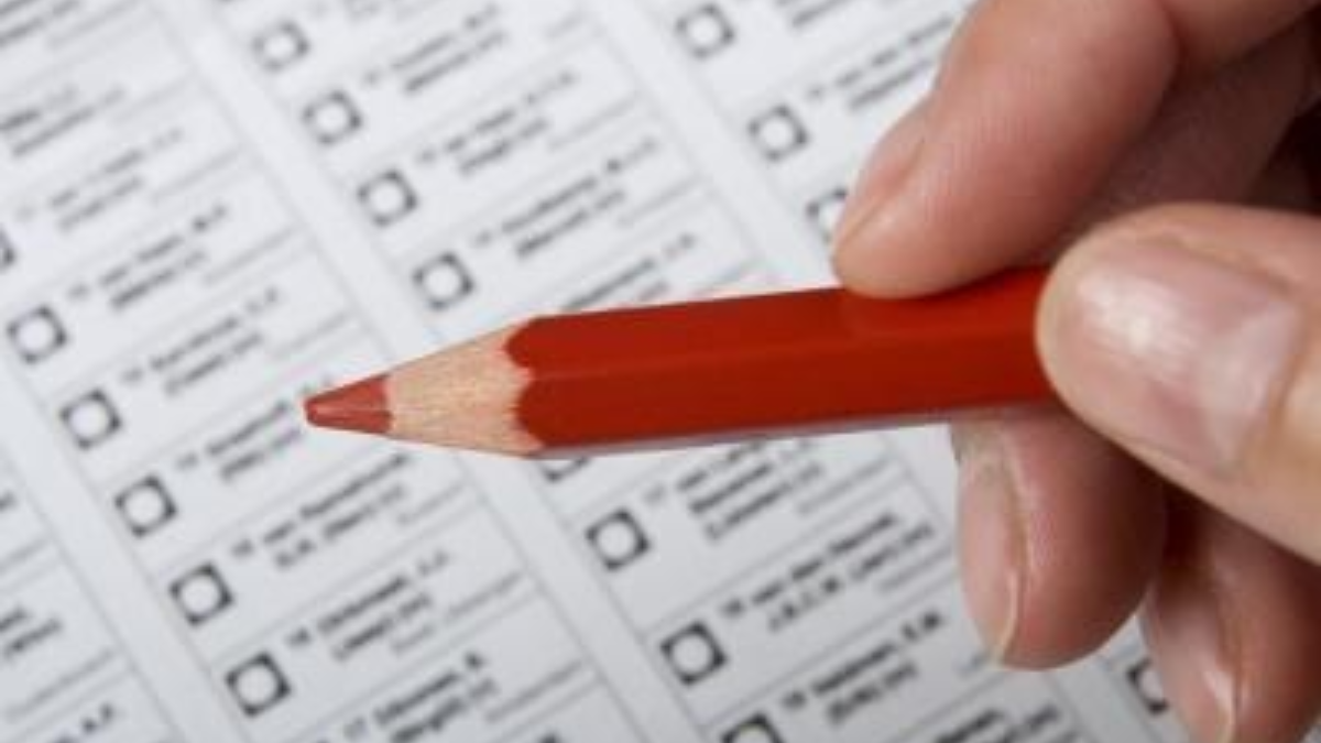 11651 verkiezingen