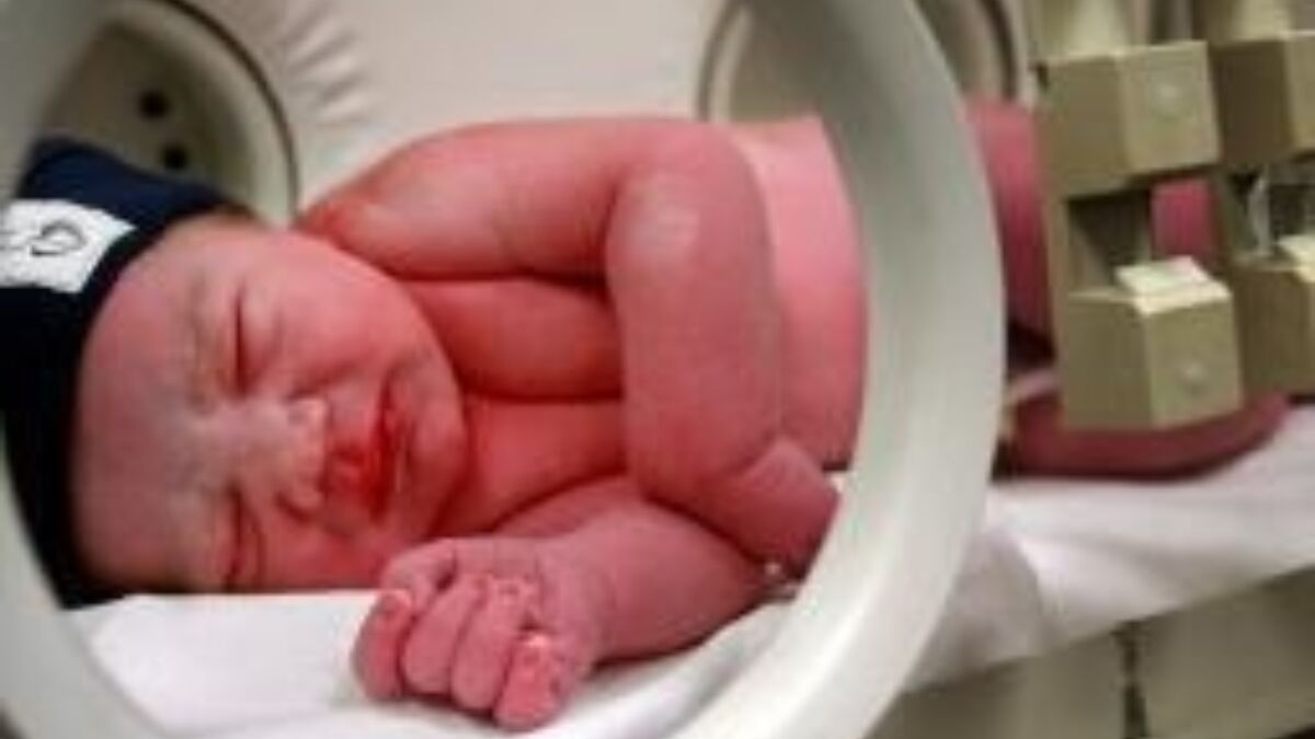 11537 couveusebaby