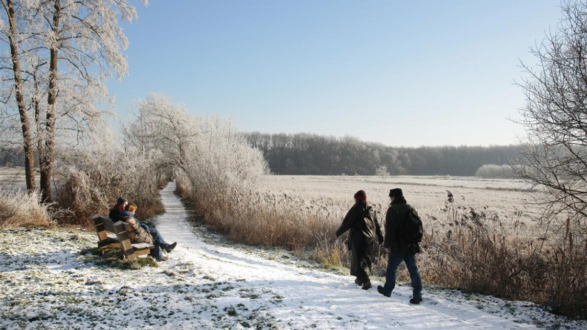 3248 Wandelaars genieten van het winterse Reestdal fotograaf Ruud Ploeg