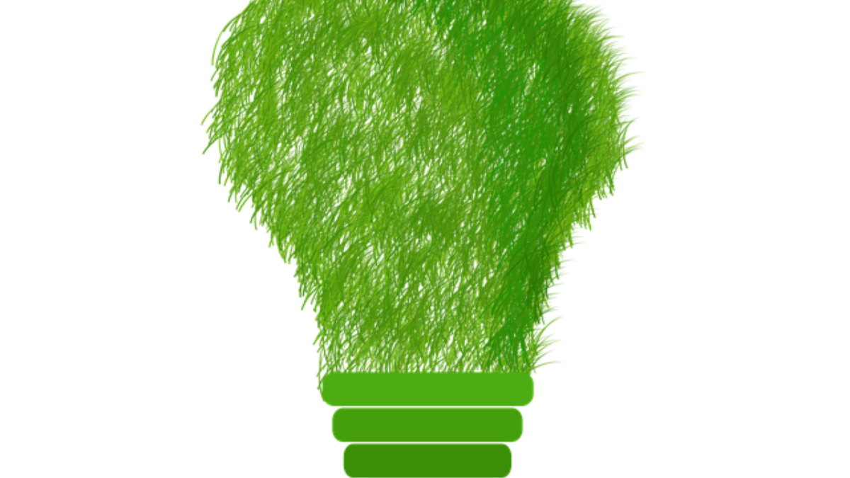 246640 green 1966408 640