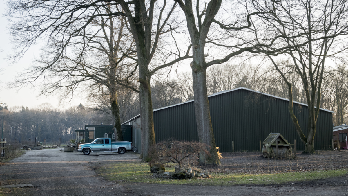 247826 image 6902928