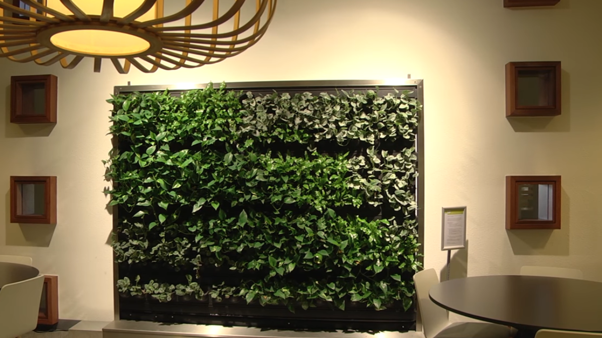 248206 Plantenmuur