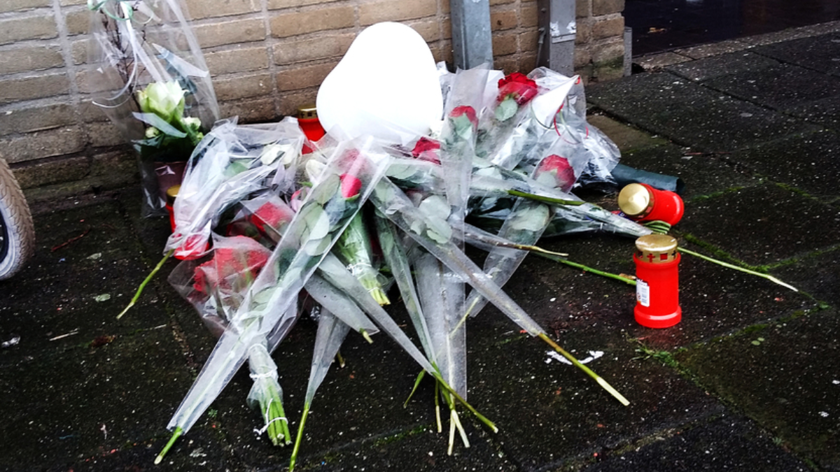 249583 image 6921210