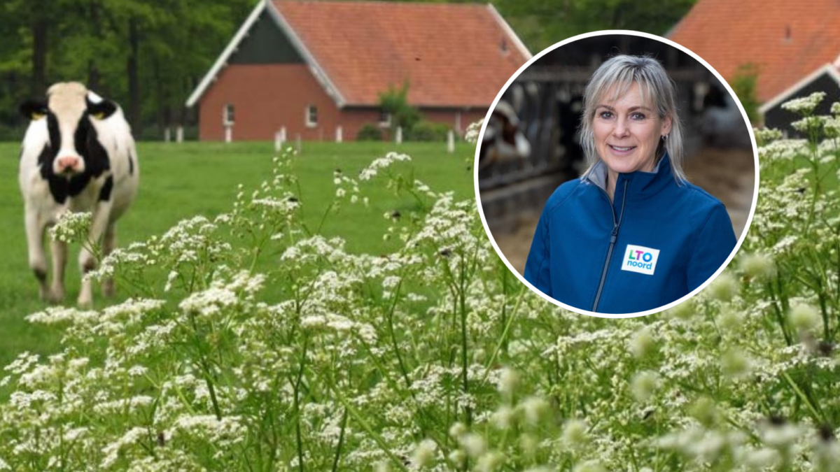 260302 lto noord gaby