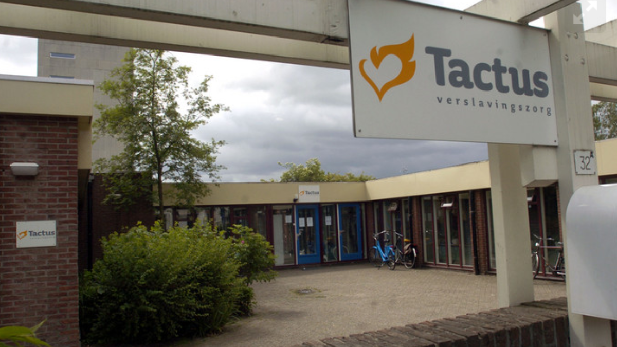 270182 Tactus