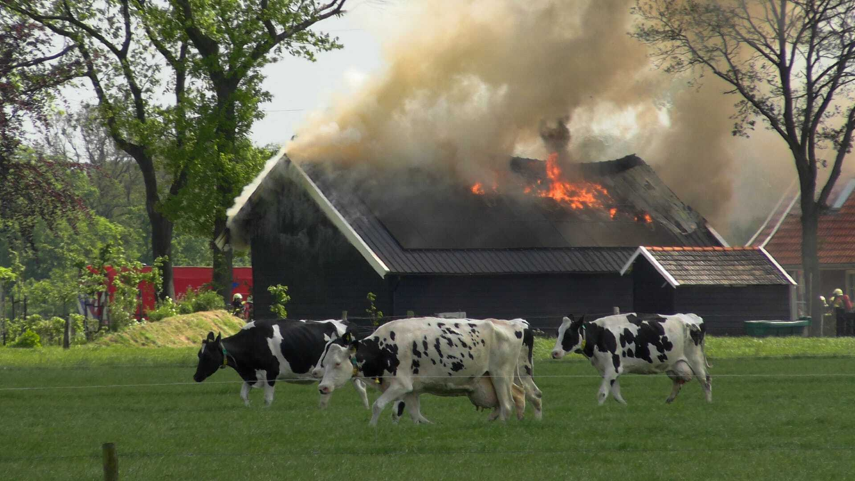 Grote uitslaande brand op boerderij in Glane Dennis Bakker