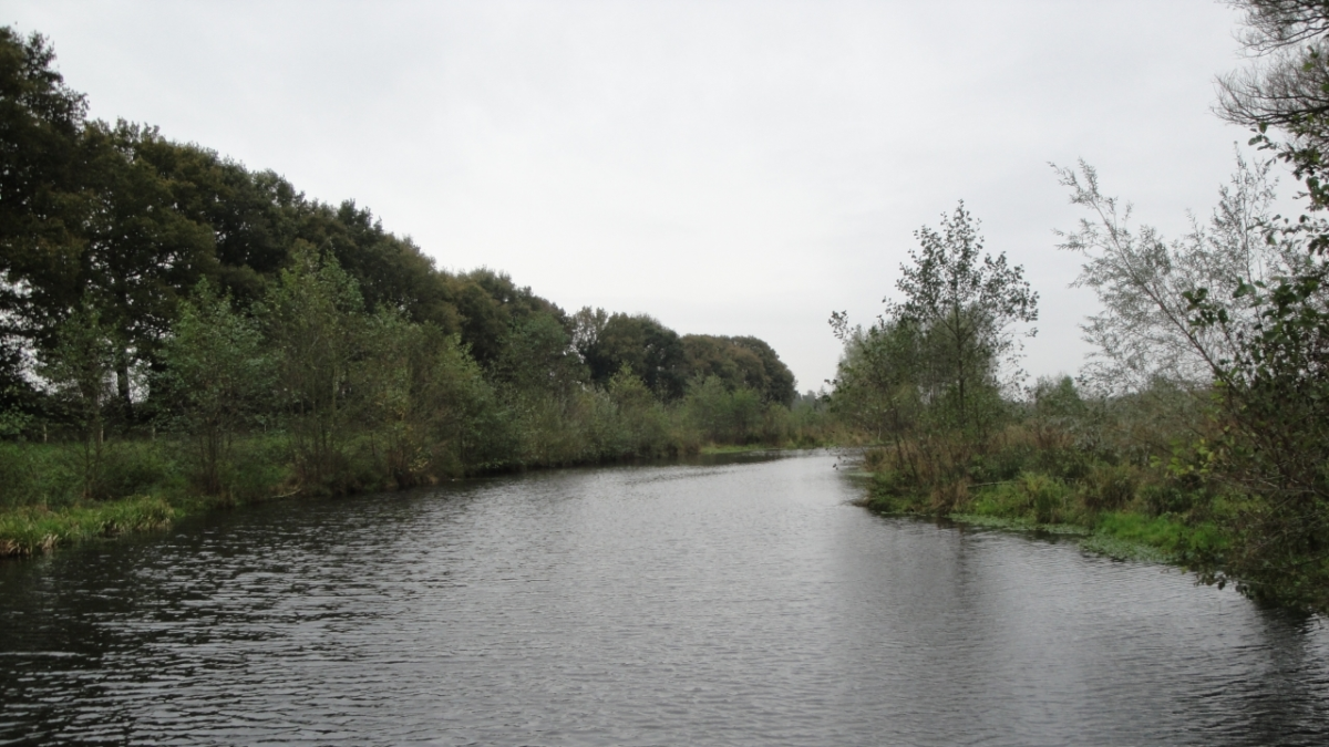 29 2020 wierden reggewandeling