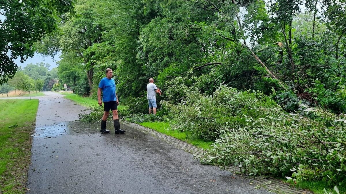 Buurtgenoten aan de Duivelsdijk in Oldenzaal ruimen omgevallen boom zelf op