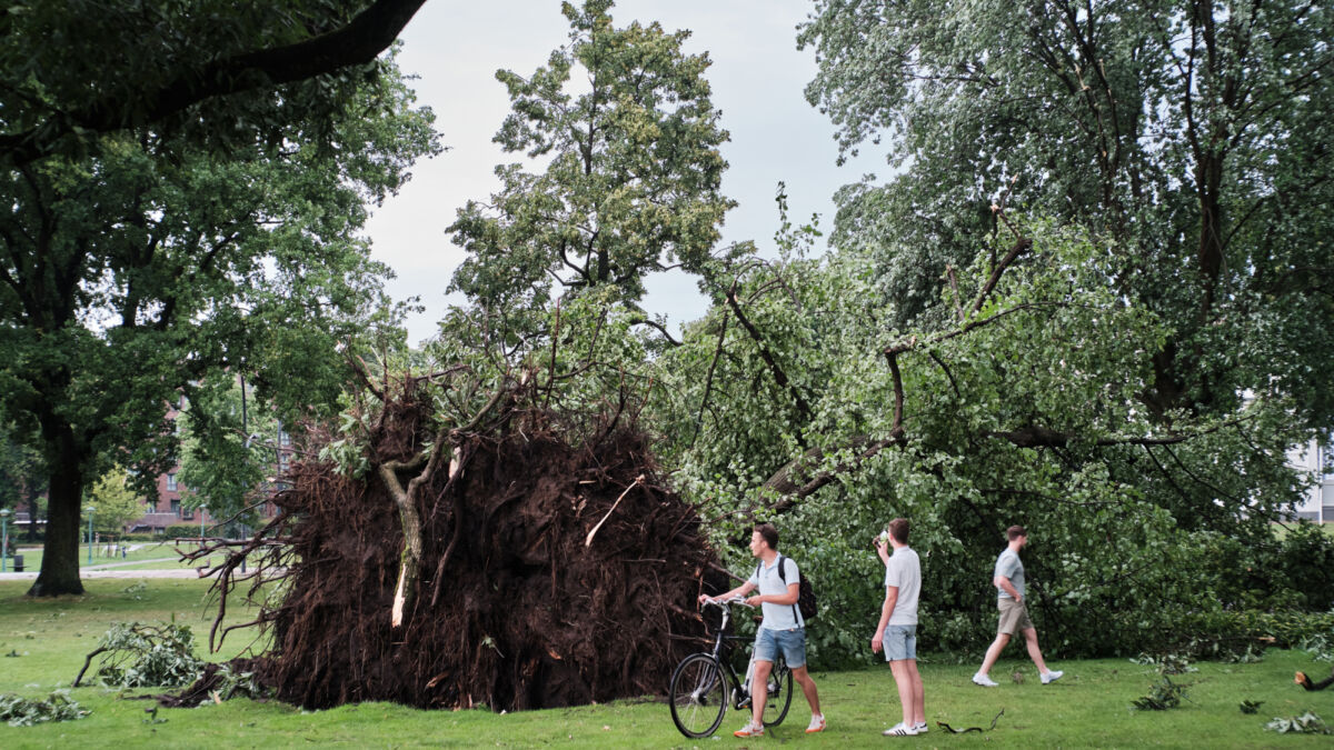 Stormschade 1