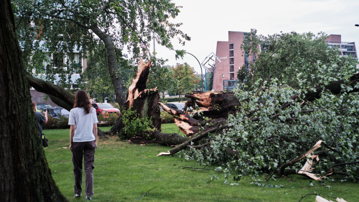 Stormschade 2