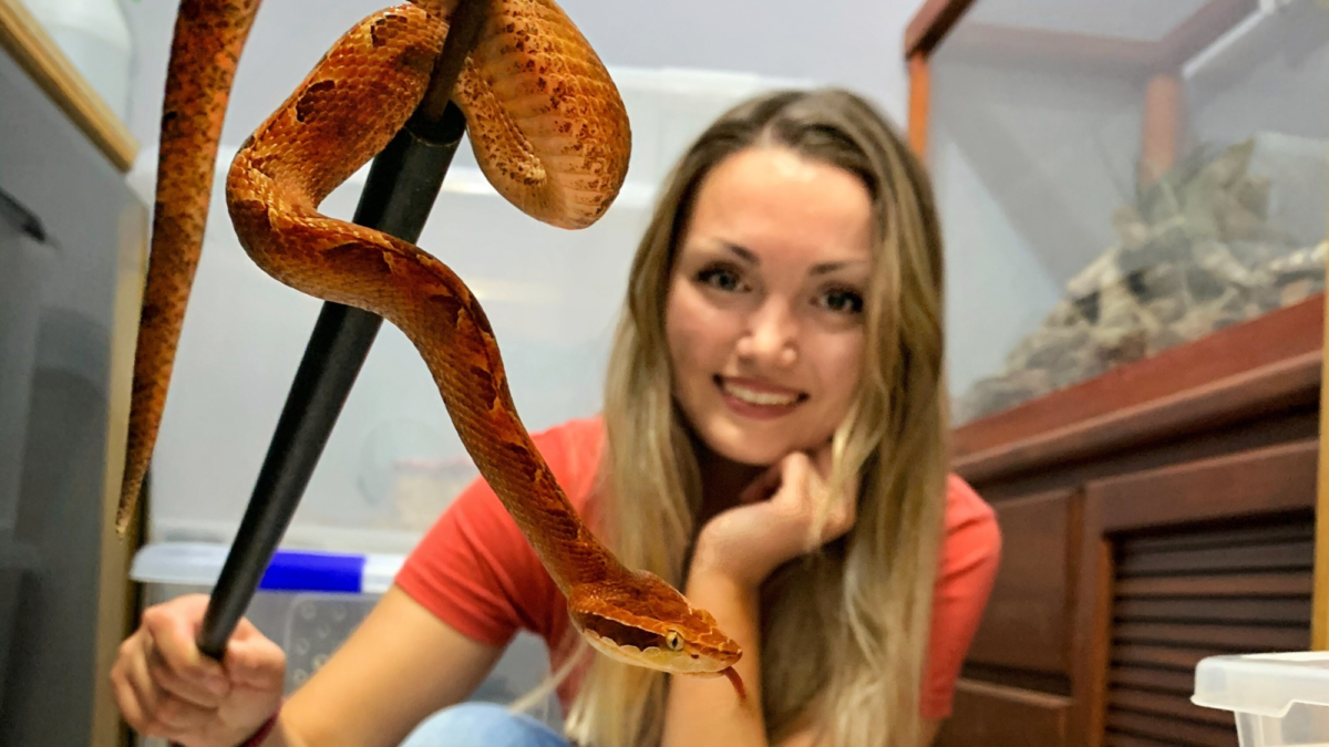 Groene Karavaan Sterrin Smalbrugge