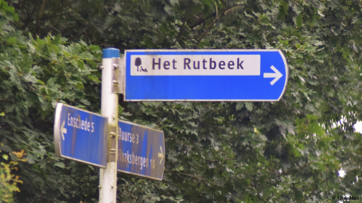 Rutbeek bord