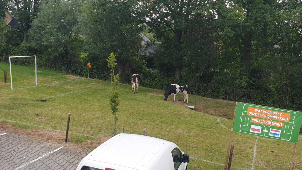 Ronald en Erwin EK De LUTTE