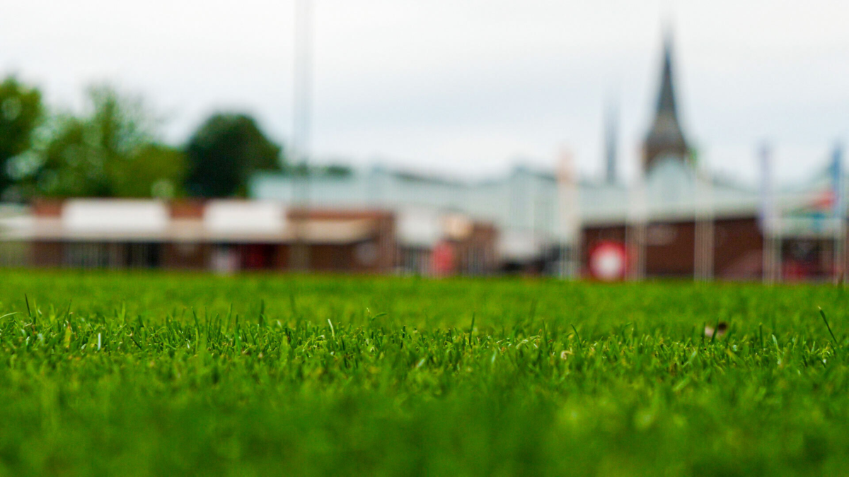 Grasmat DSVD voor FC Twente