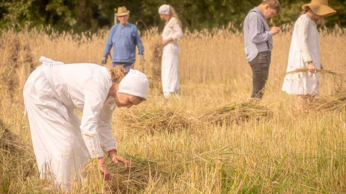 Drie generaties tussen de rogge