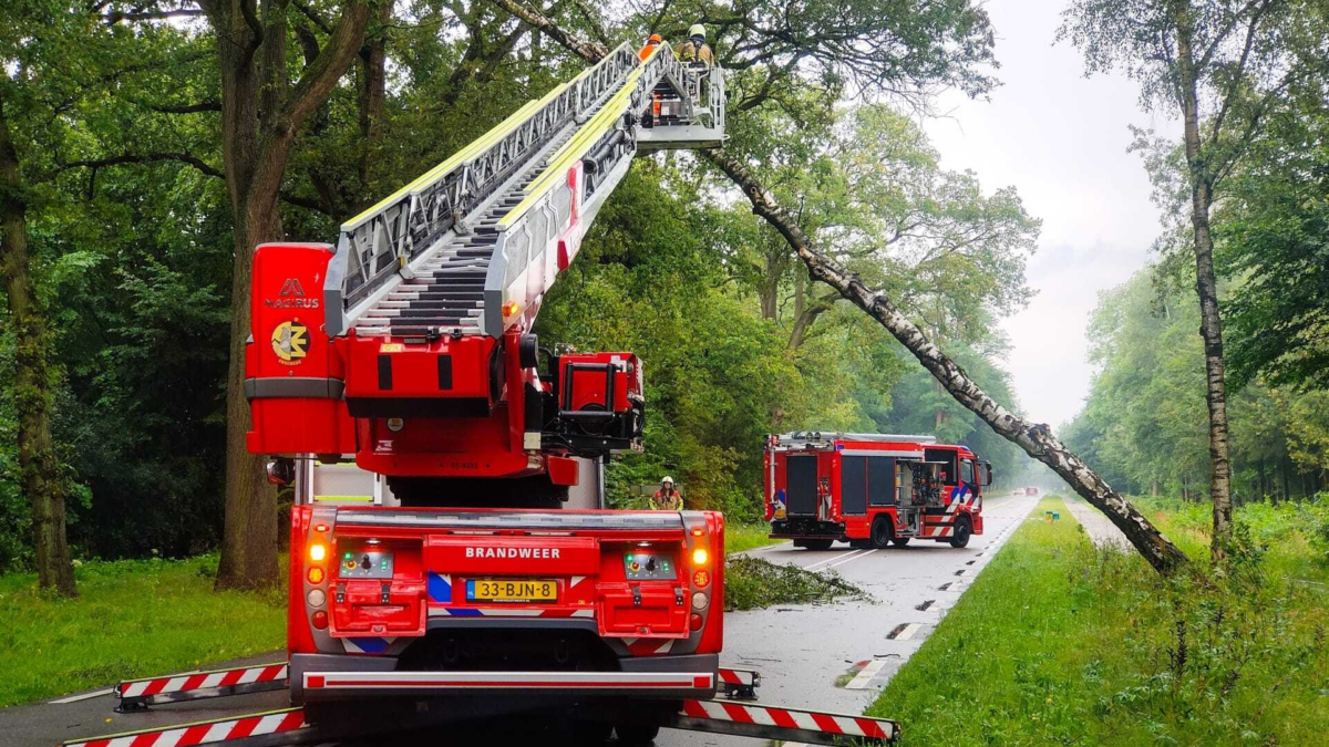 Boom die bijna omvalt Brandweer Weerseloseweg Enschede Dennis Bakker