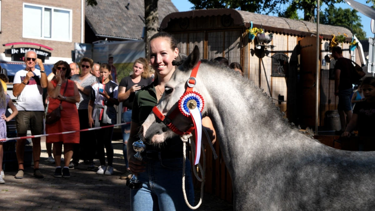 Paarden en ponymarkt