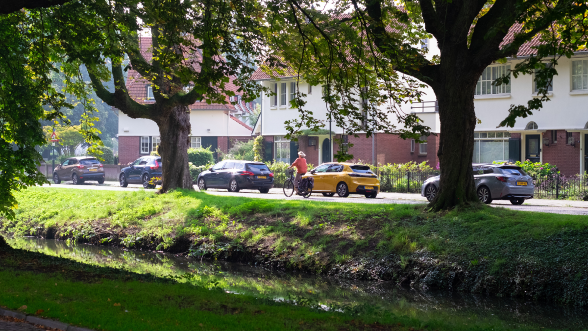 Kastanjers tuindorp t lansink gekapt