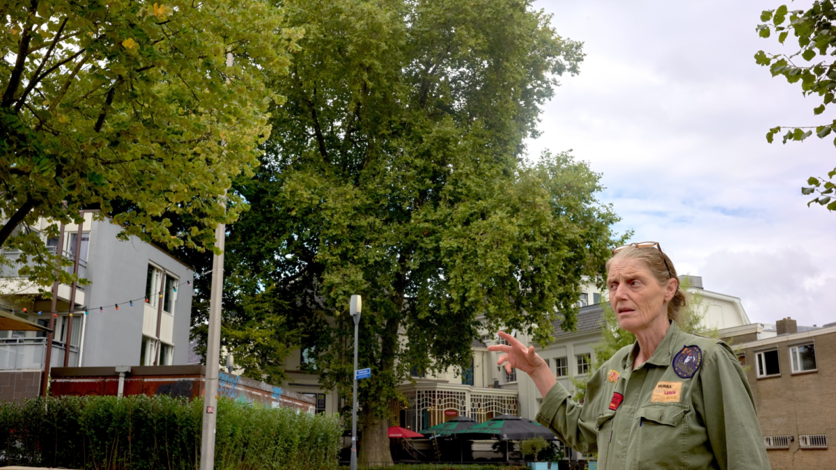 Karin Vaneker Villa van Heek plataan c Ernst Bergboer