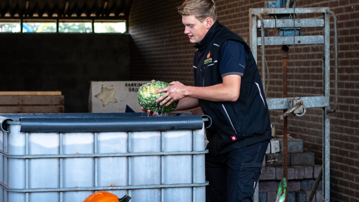 Gerbens pompoenschuur Bornerbroek