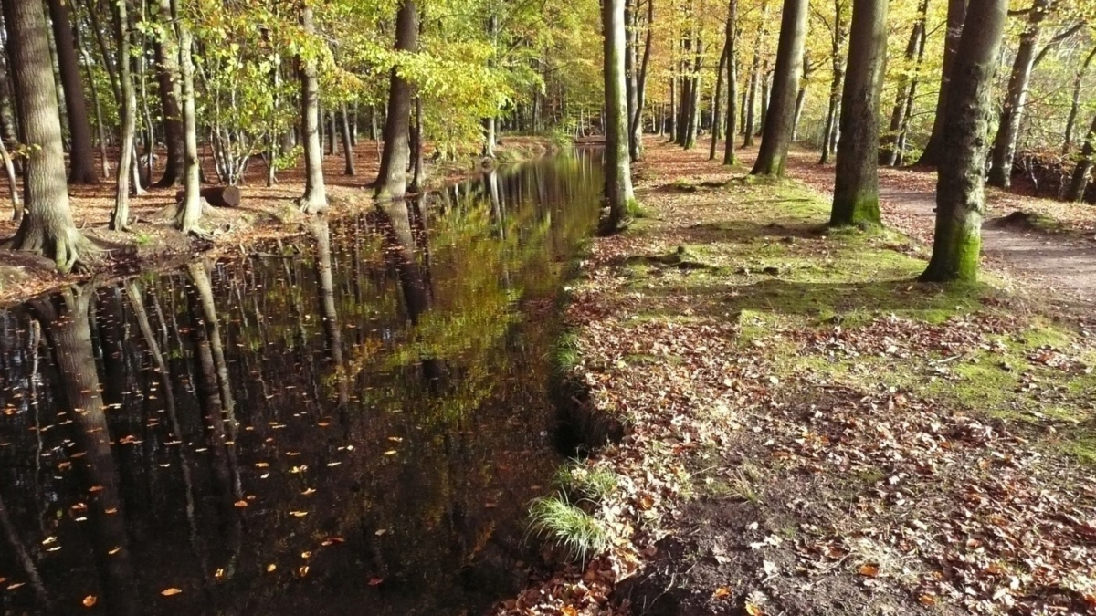 Landgoederen Oldenzaal