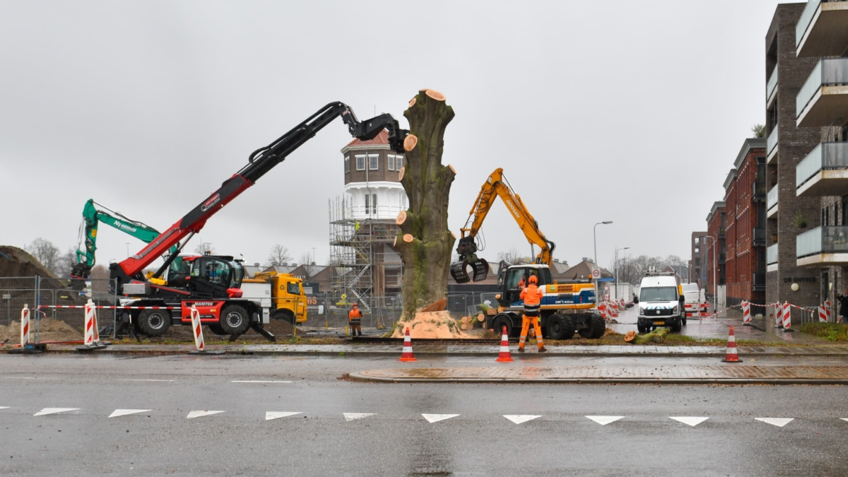 Hoofdfoto Rode Beuk Almelo