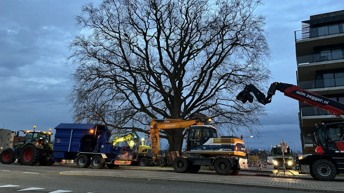 De laatste minuten van handerhalve eeuw Rode Beuk op deze plek