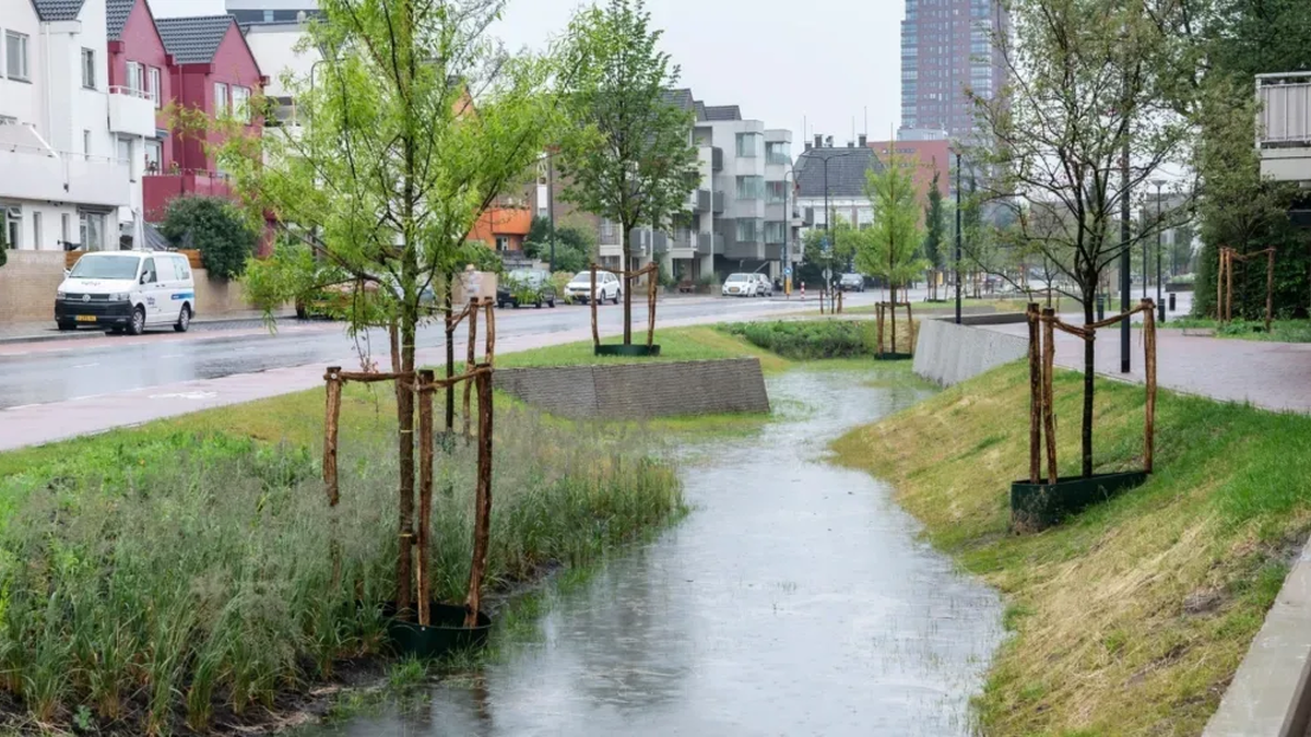 Wadi Oldenzaalsestraat Enschede