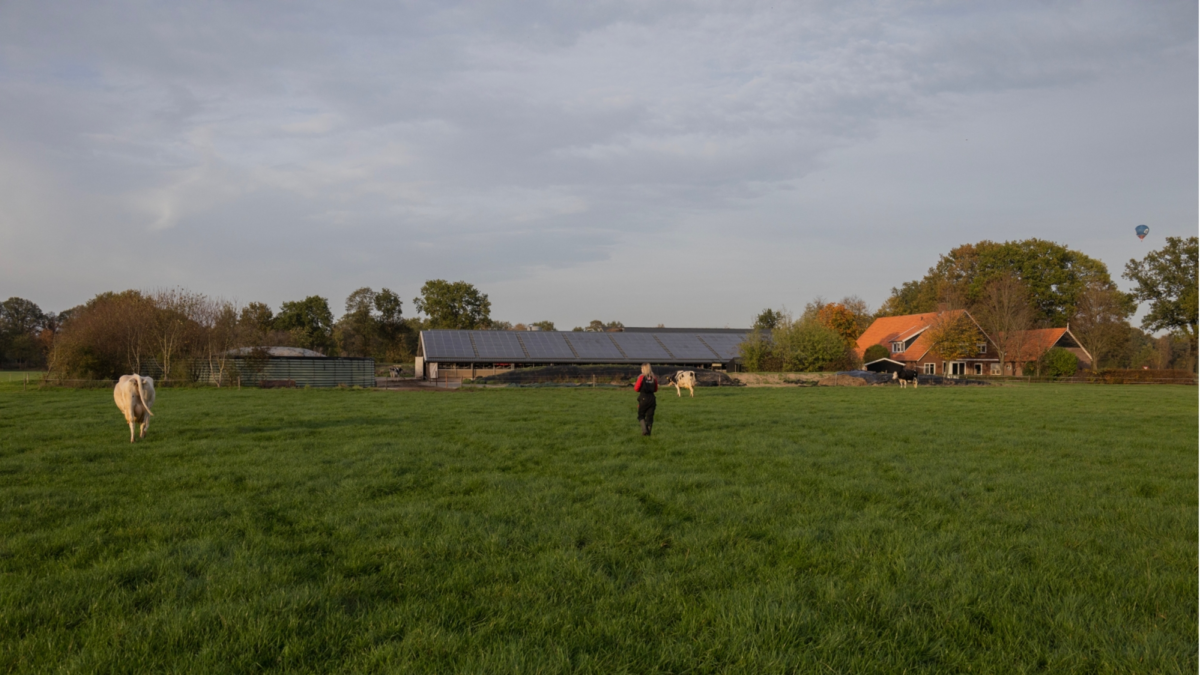 Boerderij Silke Hampsink - Erve Hampsink