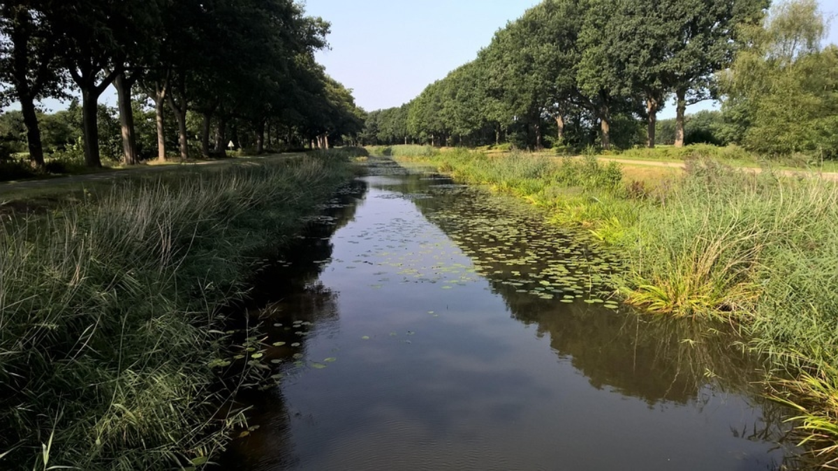 Bomenkap kanaal Almelo Nordhorn