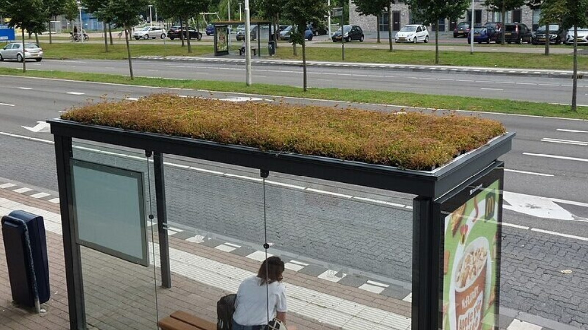 20250218 Groene bushalte in Utrecht Terwijde