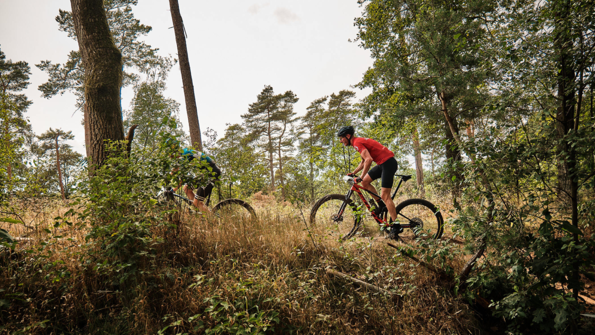 Mountainbiken op de Sallandse Heuvelrug