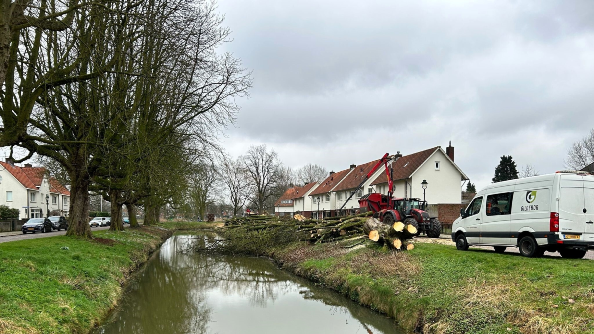 250228 bomenkap woolderbeekweg4 1 TWENTE