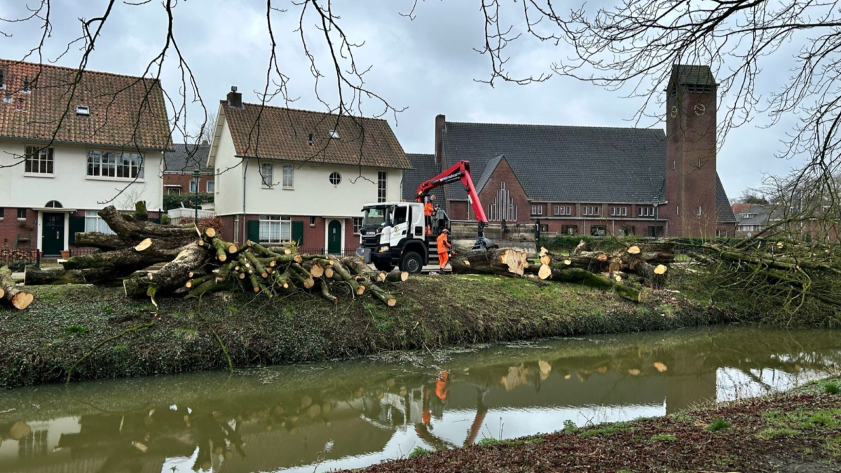 250228 bomenkap woolderbeekweg2 1 TWENTE