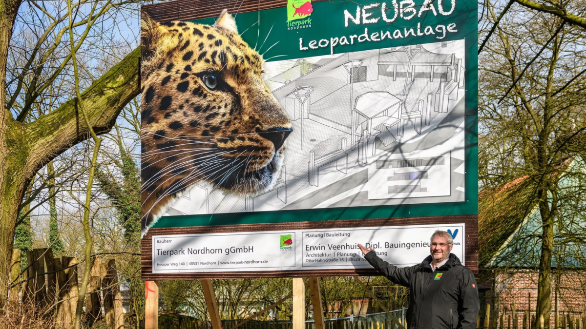 Bauschild bei den Leoparden